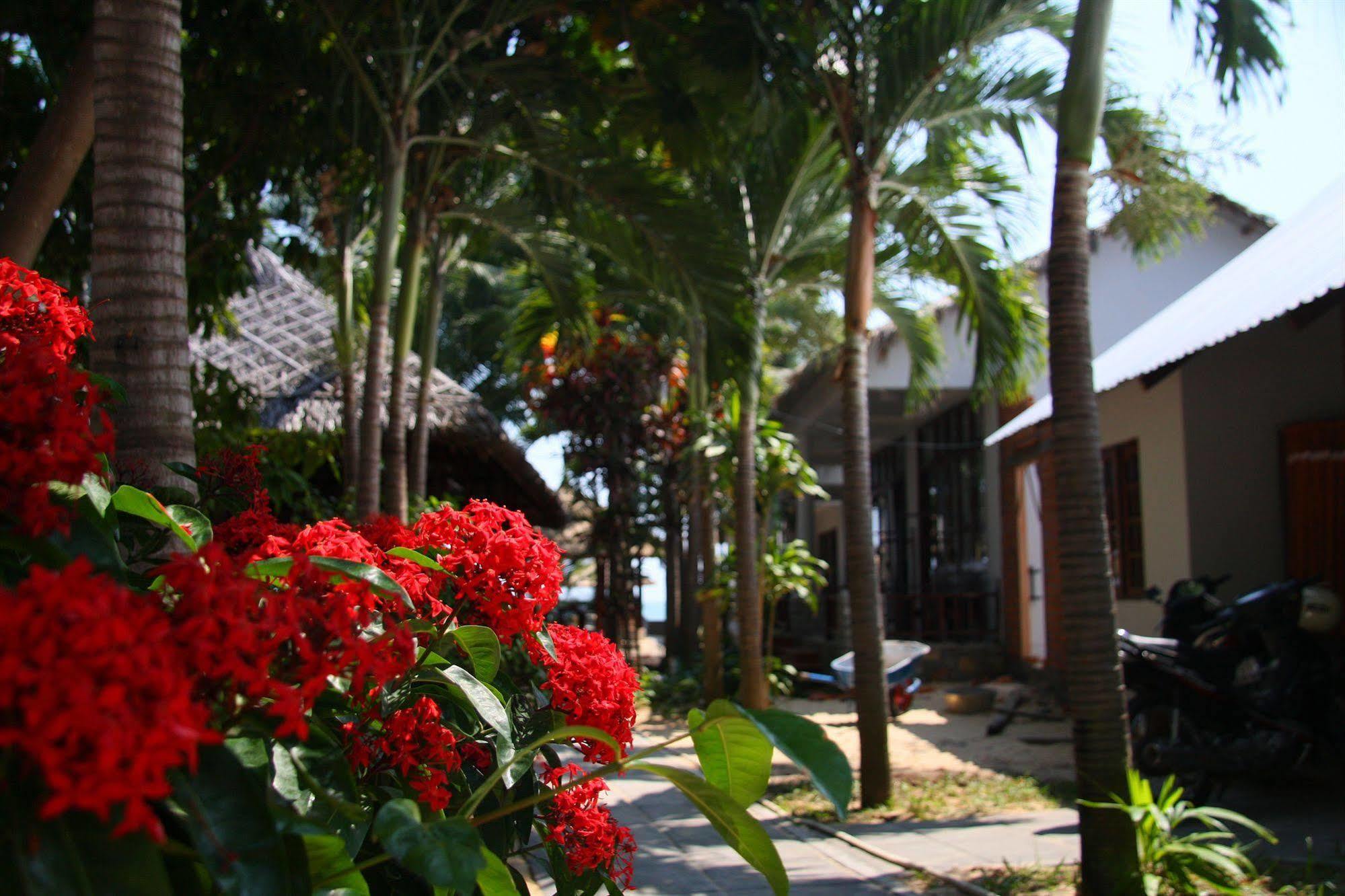 Mai Am Guest House Phan Thiết Ngoại thất bức ảnh